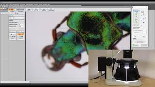 PROMICRA - Automated Creating Completely In-focus Images Using Deep Focus Module