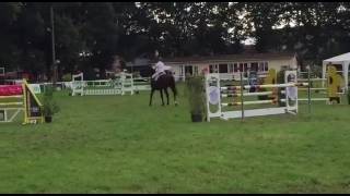Easygoing - Esterwegen - L-Springen Mit Stechen 06.08.2016