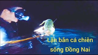 Hành trình đi săn thủy Quái Sông Đồng Nai /lặn bắn cá Chiên/ cá lăng Đá__freediving: spearfishing