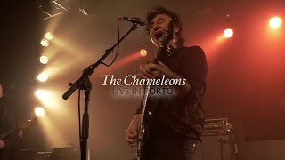 CHAMELEONS - Live in Porto 2023 (teaser)