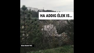 HA ADDIG ÉLEK IS…