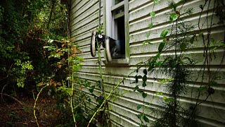 Download Lagu Hunting for Vintage Clothing in Abandoned Homes | \ MP3 Download Lagu Hunting for Vintage Clothing in Abandoned Homes | \ MP3