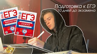 Study with me/Подготовка к ЕГЭ 2024/Неделя до ЕГЭ/Профиль химбио/Study vlog 2024