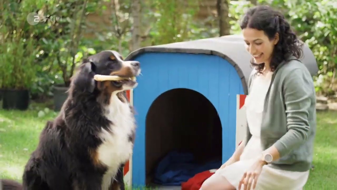 Löwenzahn Seifenkiste