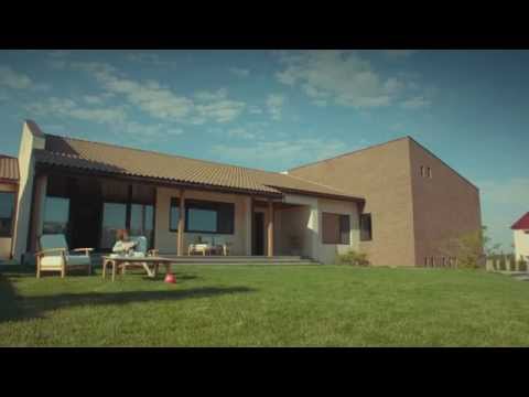 წავკისის ველი