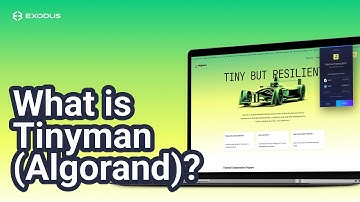 What is Tinyman Algorand? Algorand DEX (Algorand DeFi apps)
