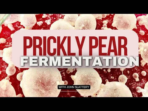 John Slattery — Prickly Pear Fermentation