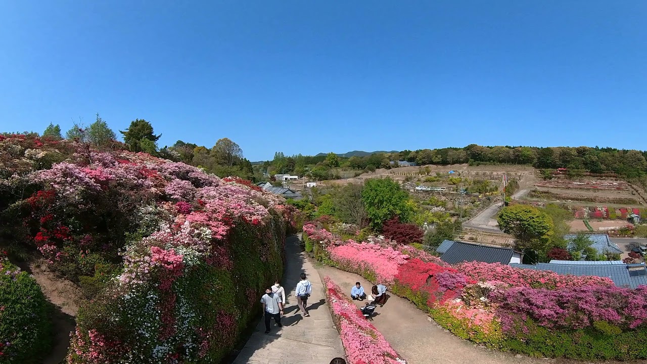 Vr360 絶景 大村市松本つつじ園 お散歩動画 Youtube