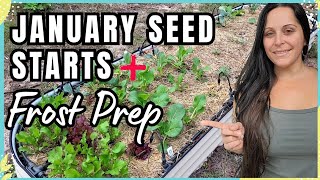 January Garden Game Plan: Seed Starts + Frost Prep