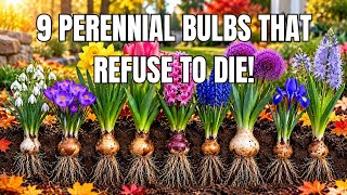 Plant These 9 Spring Bulbs in October (Set It & Forget It)