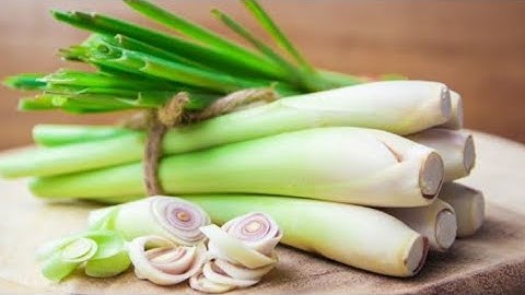 Củ Sả - 9Lợi Ích Tuyệt Vời Của Củ Sả – Vị Thuốc Từ Gian Bếp Bảo Vệ Sức Khỏe