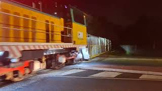 cane train at night