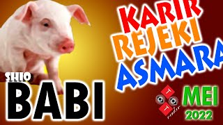 Shio BABI bulan MEI 2022 // ramalan Rejeki , Karir , Jodoh dan kisah Asmara bulan Mei th 2022