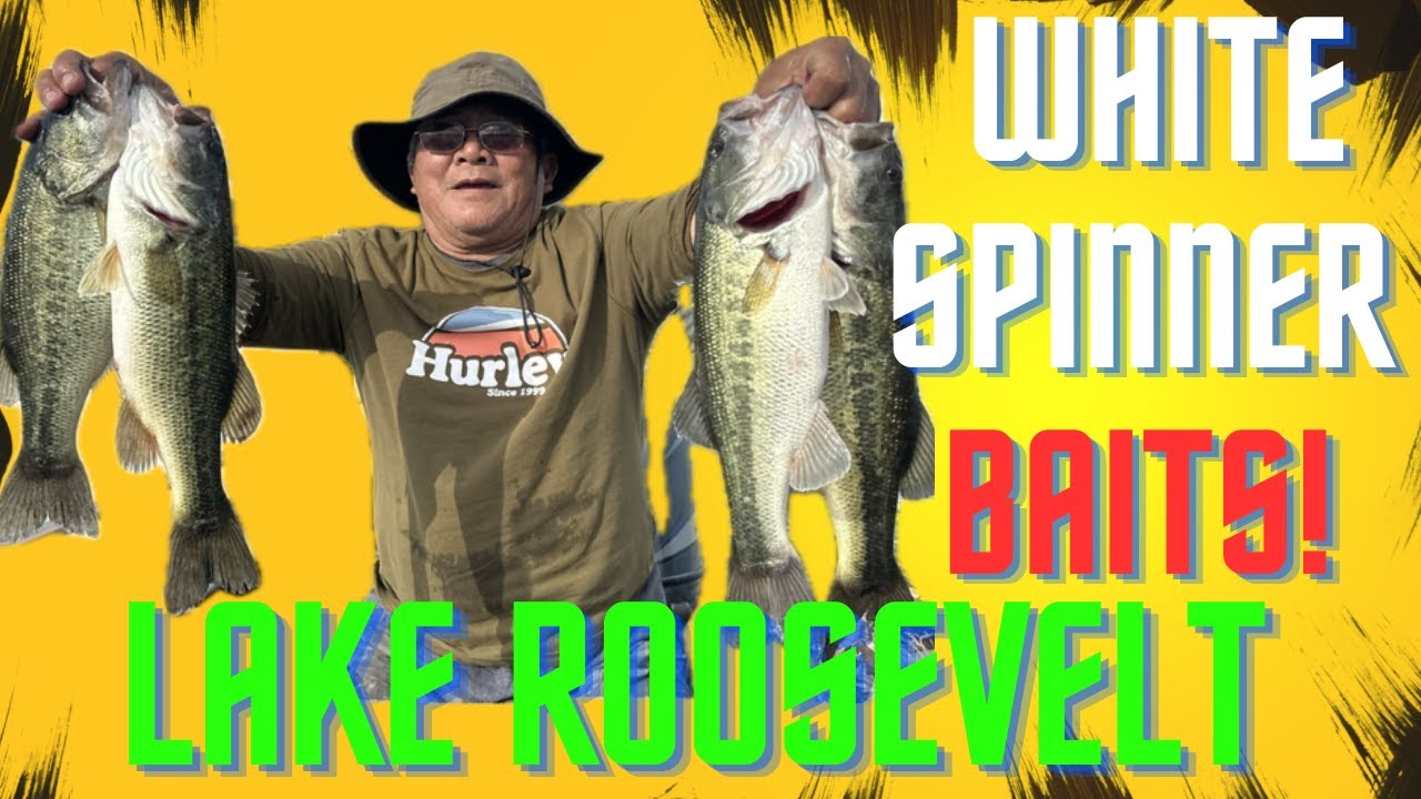 Lake Roosevelt is on fire! AZ bass fishing Is HOT!!