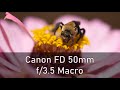 Canon FD 50mm f3.5 Macro Lens Review (Fuji X-T3)