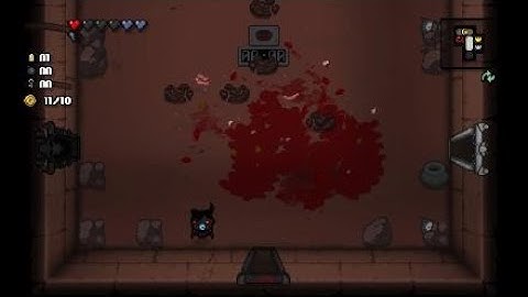 Bobs brain doing what bobs brain do