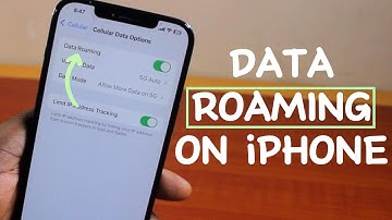 How to Disable or Enable Cellular Data Roaming on iPhone