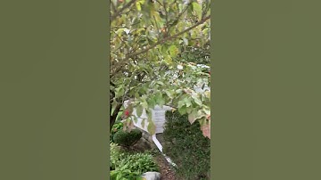 K-Guard Leaf Free Gutter System on a Farm house