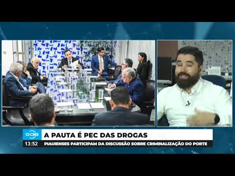 Parlamentares piauienses discutem criminalização de porte de drogas 15 04 2024
