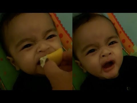 funny-baby-eating-lemon