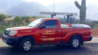 Scorpions | Tucson, AZ - Results Pest Management Inc