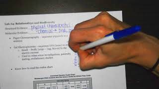 Regents Review: Relationships and Biodiversity State Lab