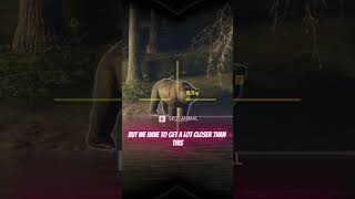 Grizzly Bear Hunt Provides Diamond ! 😱 | The Hunter: Call of The WILD