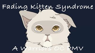 Fading Kitten Syndrome || A Warriors OC PMV