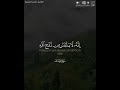 ولا تيأسوا من روح الله إنه لا ييأس من روح الله إلا القوم الكافرون القارئ راشد الحليبة ولا تيأسوا من روح الله إنه لا ييأس من روح الله إلا القوم الكافرون القارئ راشد الحليبة