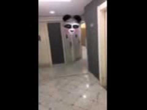 paranormal on snapchat