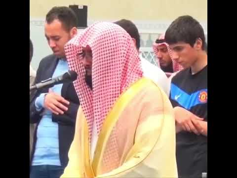 بكاء ناصر القطامي بكاء مريرا 