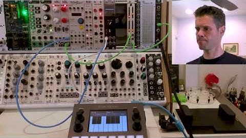 1010music blackbox: Sample and play CV and Gate #blackbox #eurorack