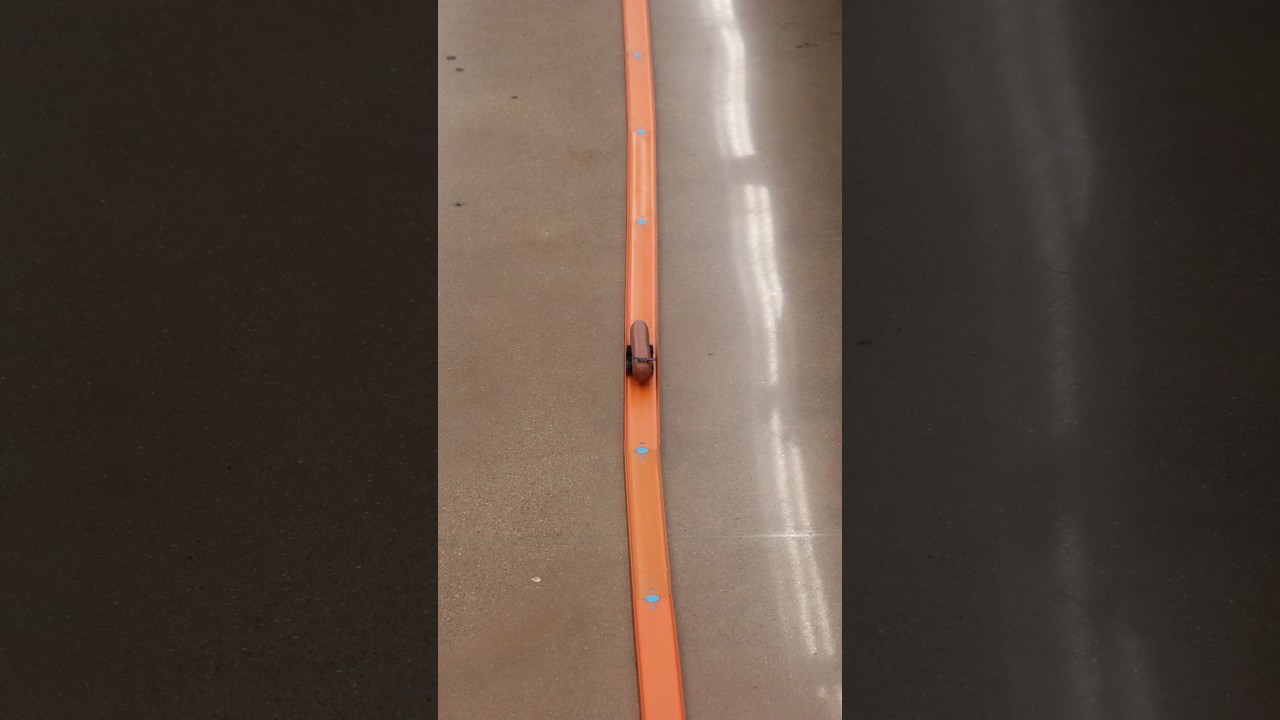 Racing a Hot Dog Through a Kroger