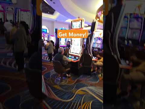 Mr. Chivo - Tongoneaito en vivo desde el casino Ganadero, San Fernando Tamaulipas