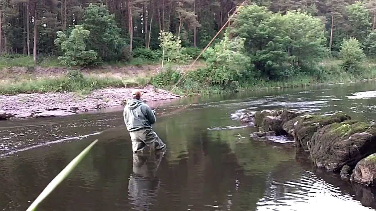 Salmon Fishing Ireland 2013 ( HD ) YouTube