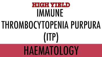 Immune Thrombocytopenia Purpura (ITP) - Symptoms, Investigations, Management - HIGH YIELD