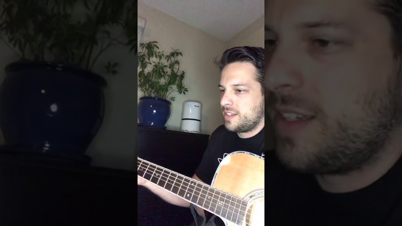 Interstate Love Song live acoustic cover and Two Leaves and a Star original song by Danny Hauger