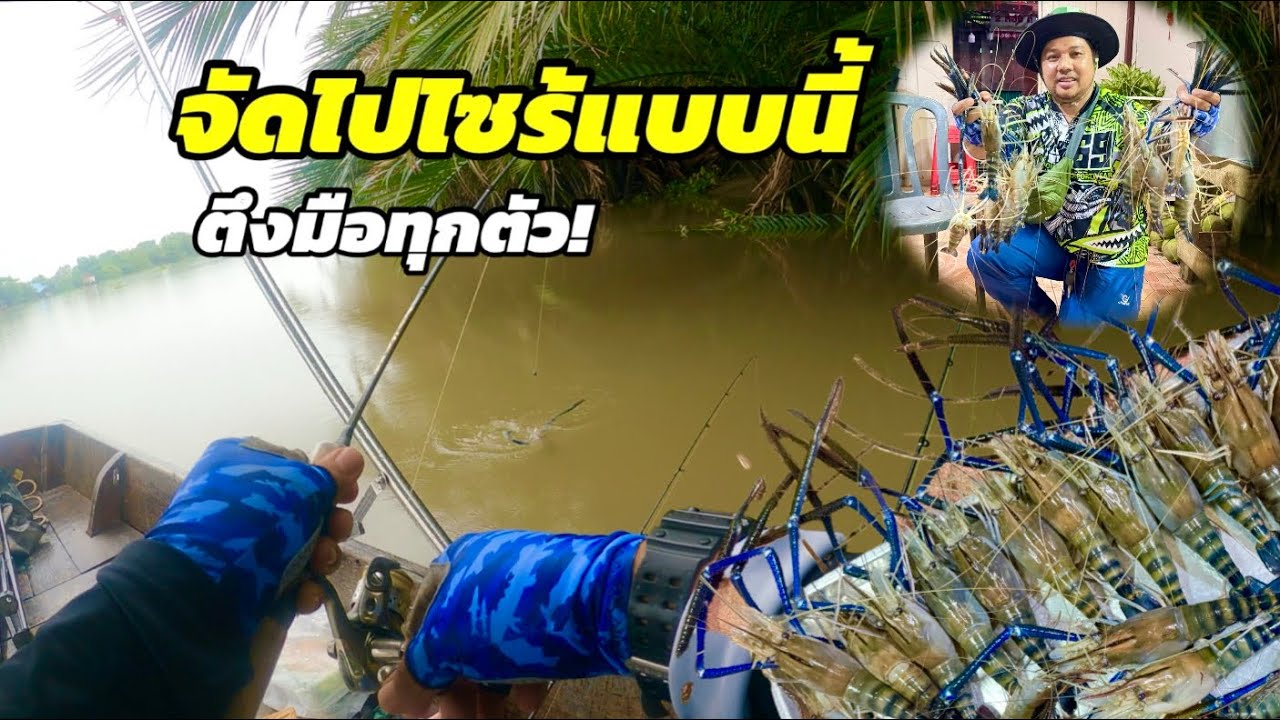 EP.392 ตกกุ้งแม่น้ำบางปะกง ตามหากุ้งตัวใหญ่#ตกกุ้งแม่น้ำ #ตกกุ้งบางปะกง #fishing #fishingvideo 