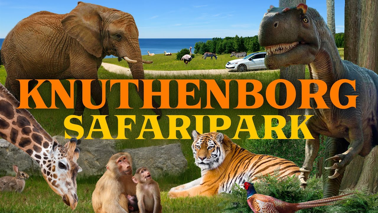 Knuthenborg Safaripark- Europes best Safari Park? | Zoo Review - YouTube