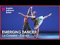 Le Corsaire (extract) | English National Ballet