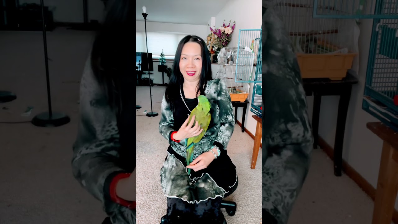 Фанни играл с Маком.