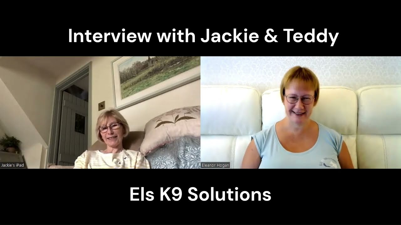 Separation Anxiety Experiences & Advice