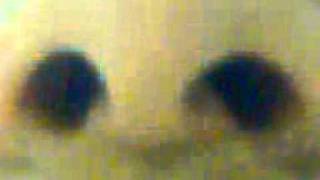 FUNNY RETARD SINGING !