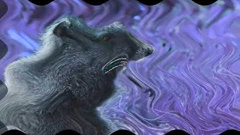 wildlife in wacky swist major