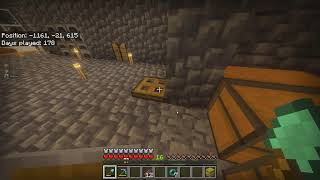 Minecraft with Friends!