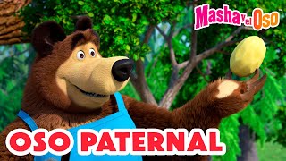 Masha y el Oso 2024 ‍♀ Oso paternal  1 hora  Dibujos animados  Masha and the Bear