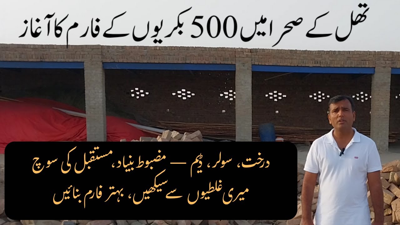 500 Goats Ka Modern Farm | Solar, Trees, DAM, Hay | Goat Farming in Thal Desert