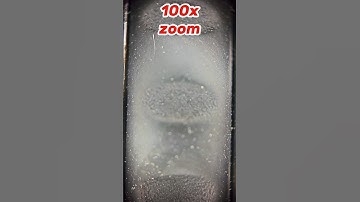 Maximum zoom »» mouse wheel#amazing #asmr #macro #zoom #shorts
