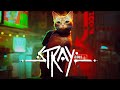 Lets play stray 1