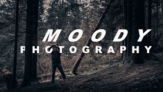 MOODY FOREST PHOTOGRAPHY (Nikon D7000 - 18-300mm Lens)